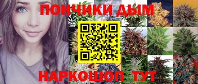 spice Кунгур