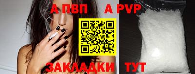 spice Кунгур
