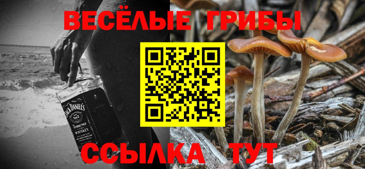 Псилоцибиновые грибы GOLDEN TEACHER Новотроицк