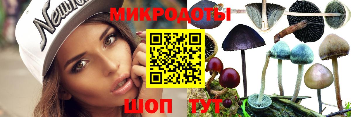 закладка  Вход с VPN  Новотроицк  Псилоцибиновые грибы мухоморы 
